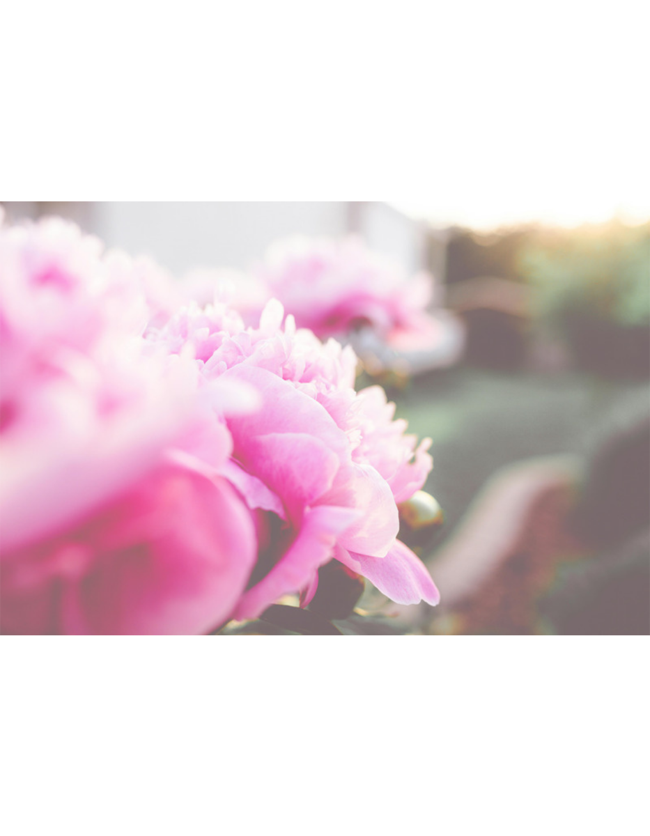 Produktphoto