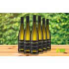 Sauvignon blanc Duo Paket