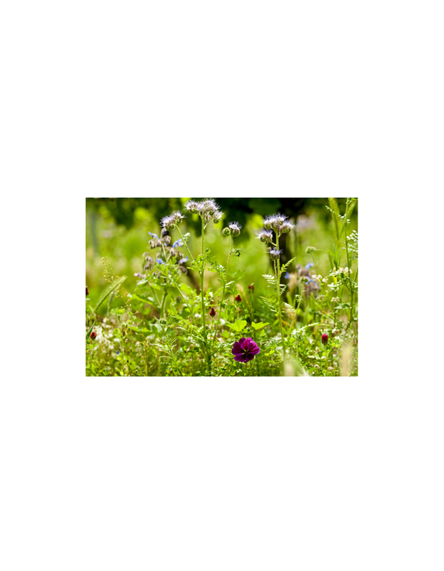 Produktphoto