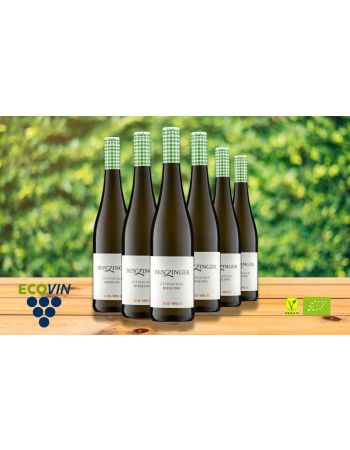 6 Flaschen RIESLING Steinacker 