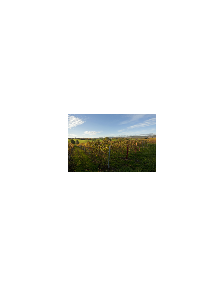 Produktphoto