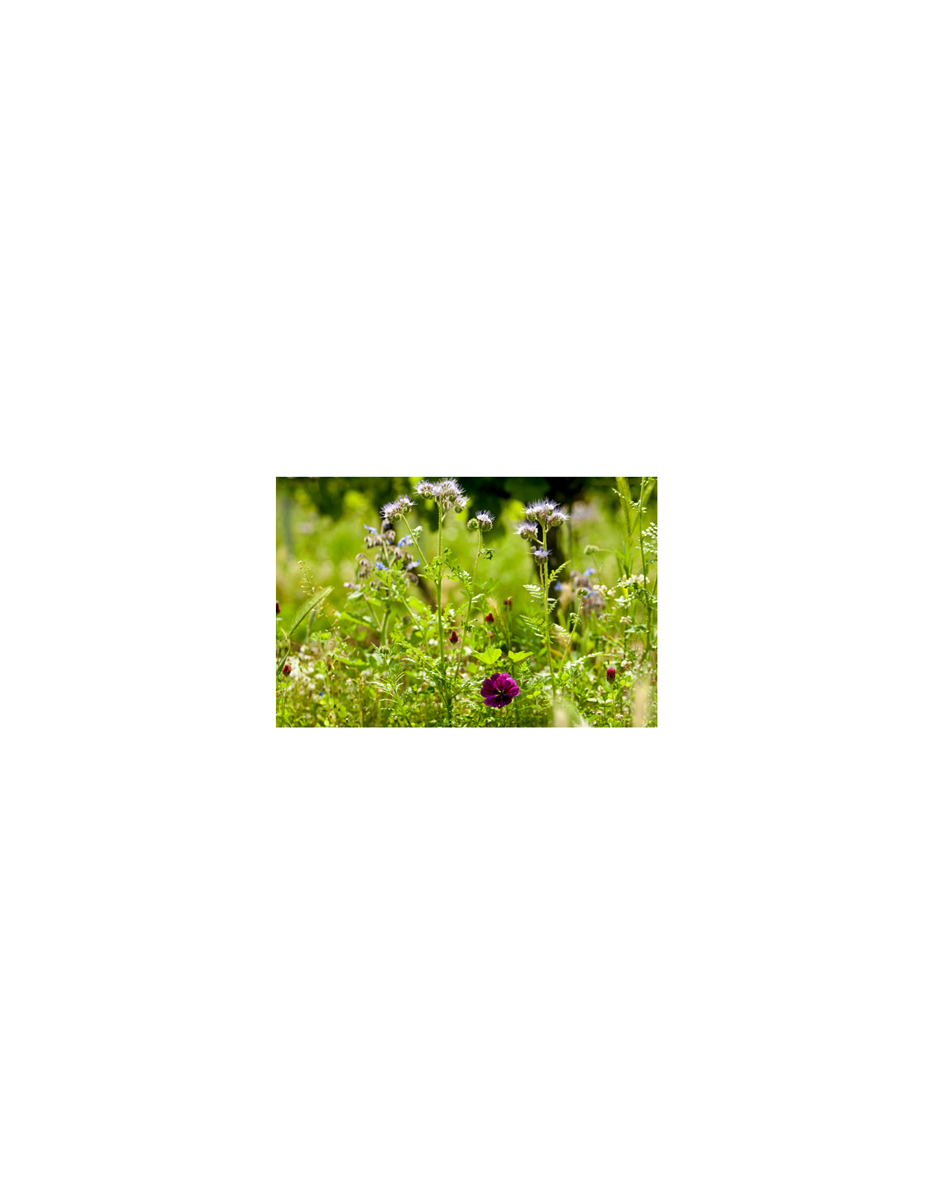 Produktphoto