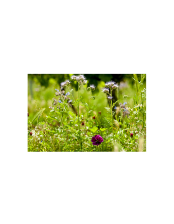 Weinprobe zu Hause 2025